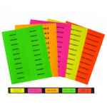 ZipMaster Grow -  Labels and Signage Easy Peel 5161 Assorted Coloured Sticker Labels 4″ x 1″