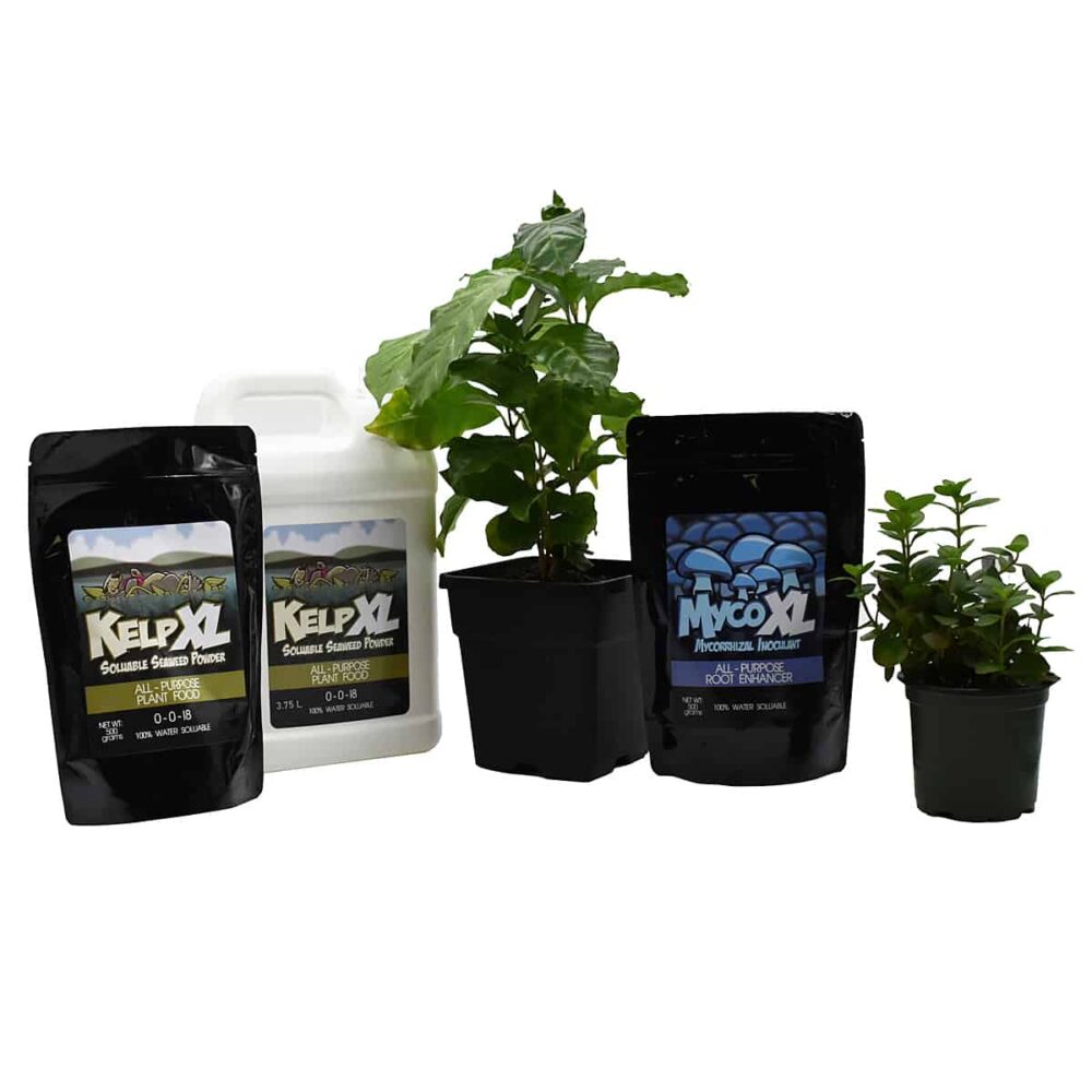 ZipMaster Grow -  Plant Nutrients Kelp XL – 500 grams